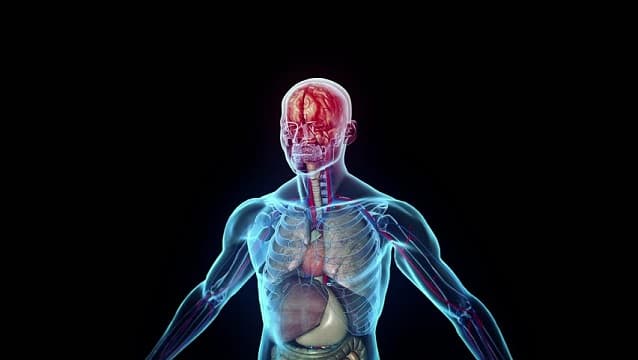 Why Outsource Scientific Animation Service to India?