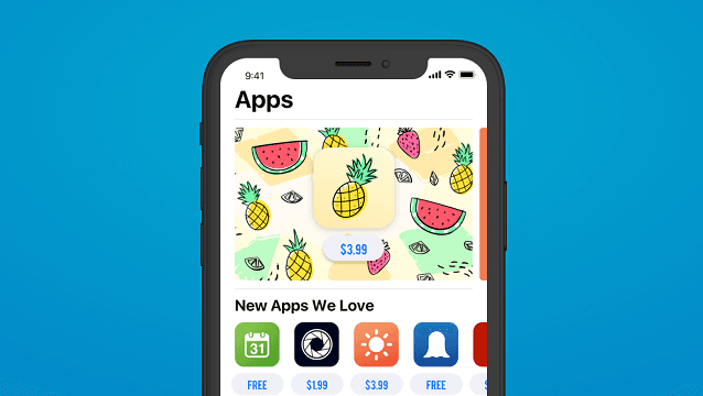 Application Development Cost Breakdown