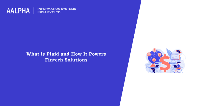 What is Plaid and How It Powers Fintech Solutions