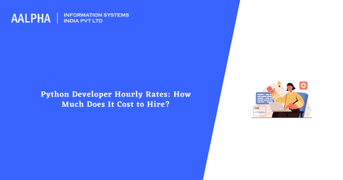 Python Developer Hourly Rates: How Much Does It Cost to Hire in 2025?