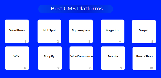best cms for website development