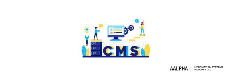 adding CMS to an existing website