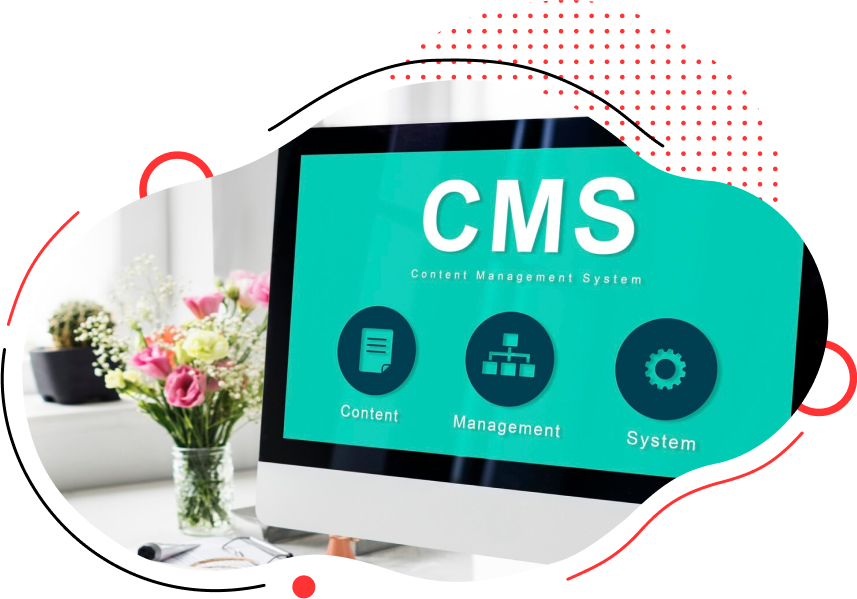 CMS & Web Platforms