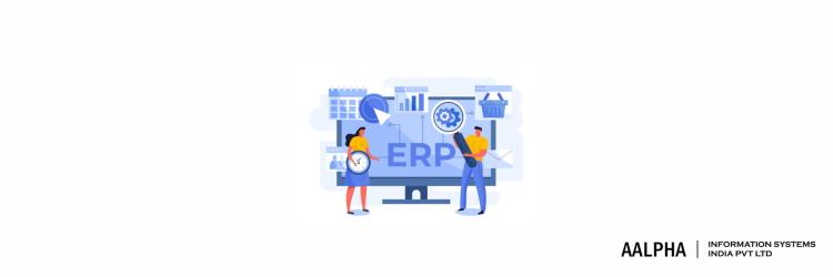 How Much Does ERP Software Implementation Costs