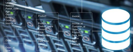 database development india