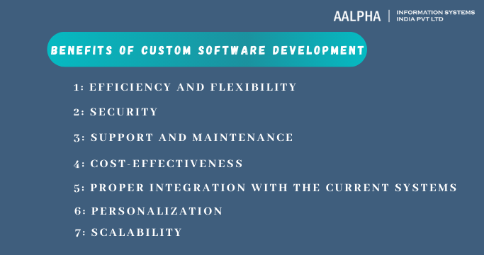 Benefits of custom software development