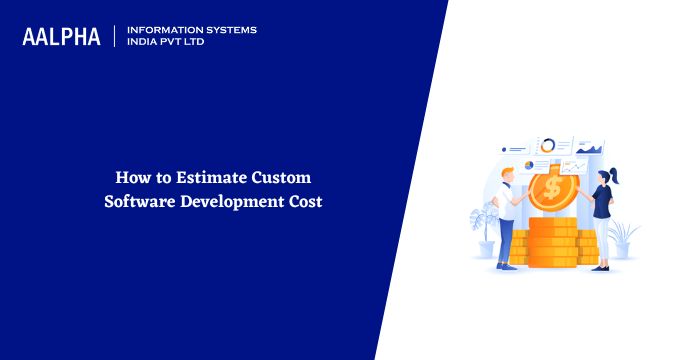 custom software development cost