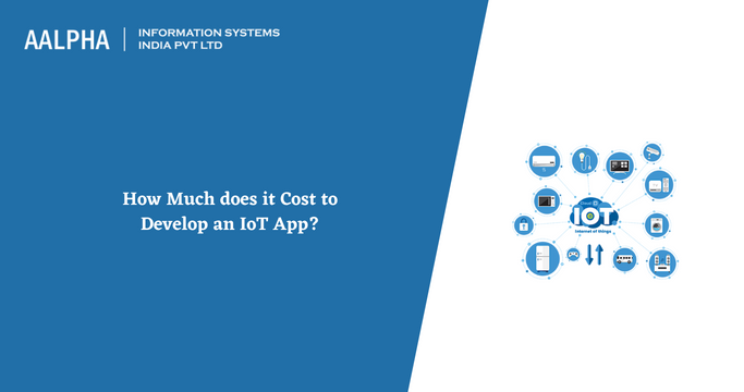 IoT development costs