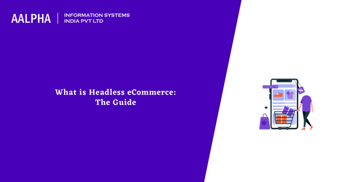What is Headless eCommerce