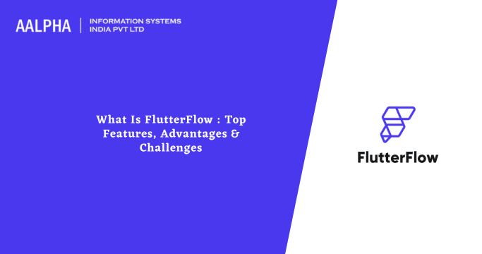 What Is FlutterFlow