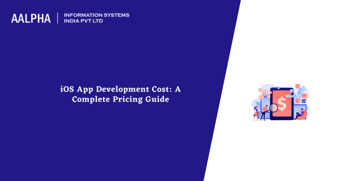 ios app development cost