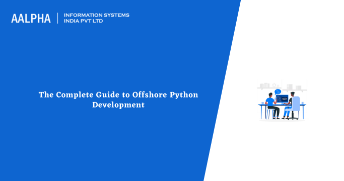 offshore python development