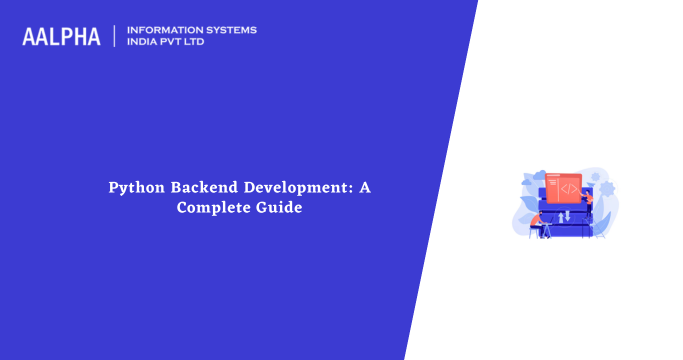 python backend development